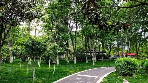 汝州都市爆料最新消息,都市风云再起，揭秘背后惊人真相！